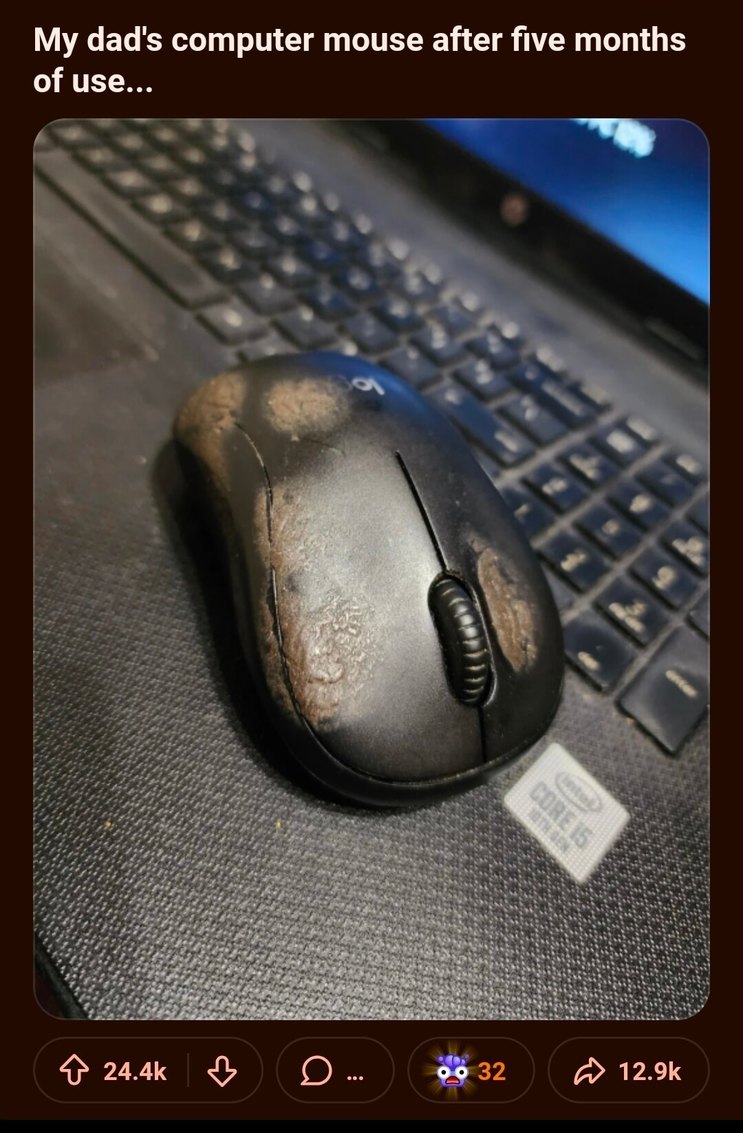 My dad's computer mouse after five months of use...