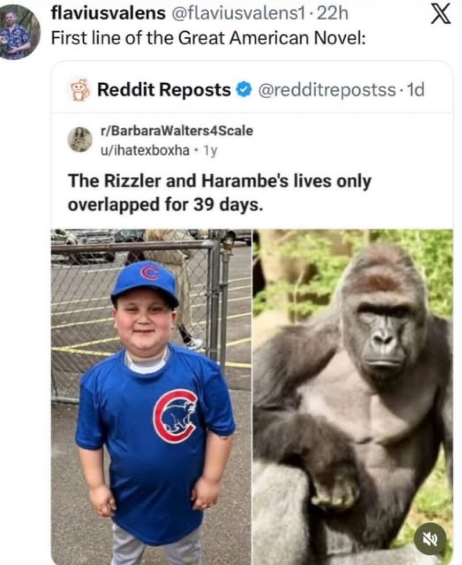 First line of the Great American Novel:
Reddit Reposts
The Rizzler and Harambe's lives only overlapped for 39 days.