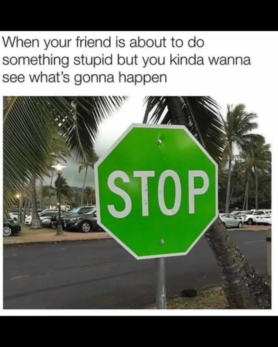 When your friend is about to do something stupid but you kinda wanna see what’s gonna happen
STOP