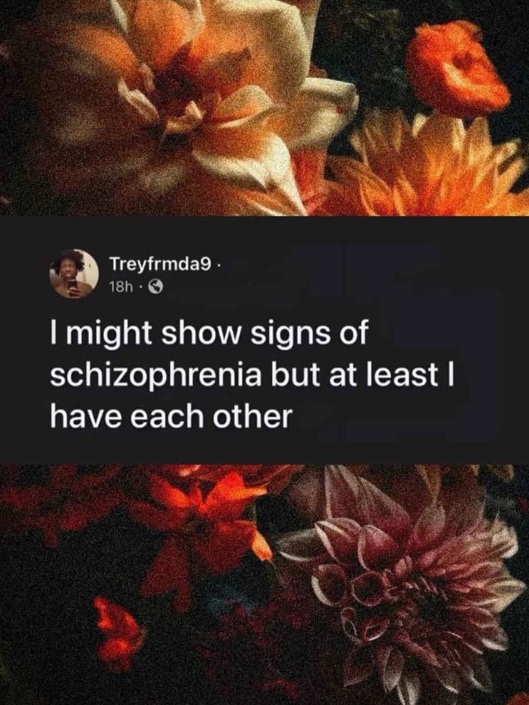 I might show signs of schizophrenia but at least I have each other