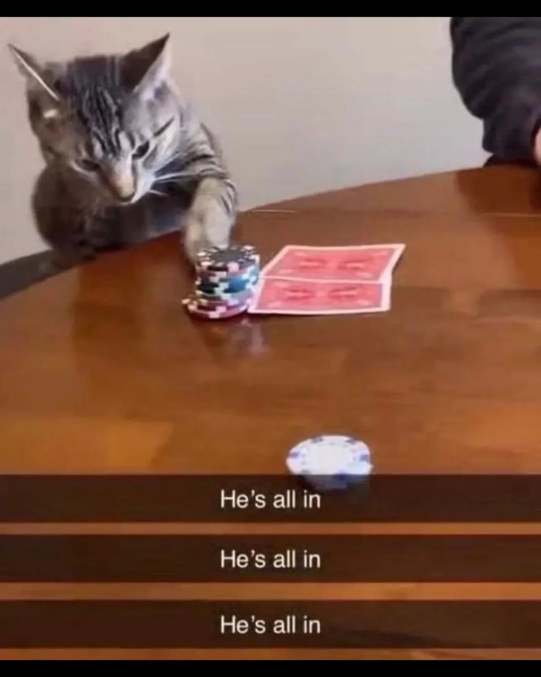 He's all in
He's all in
He's all in