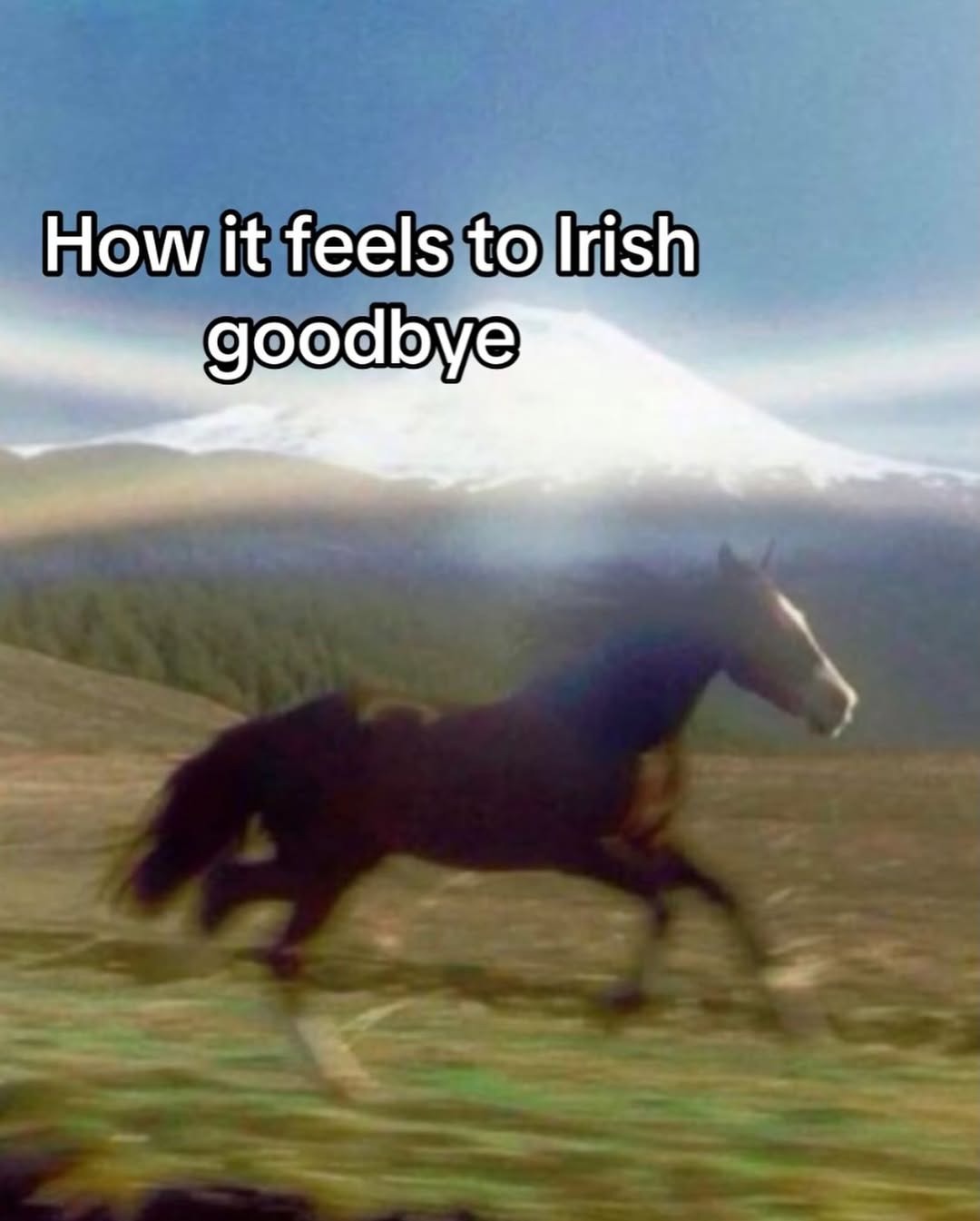 How it feels to Irish goodbye