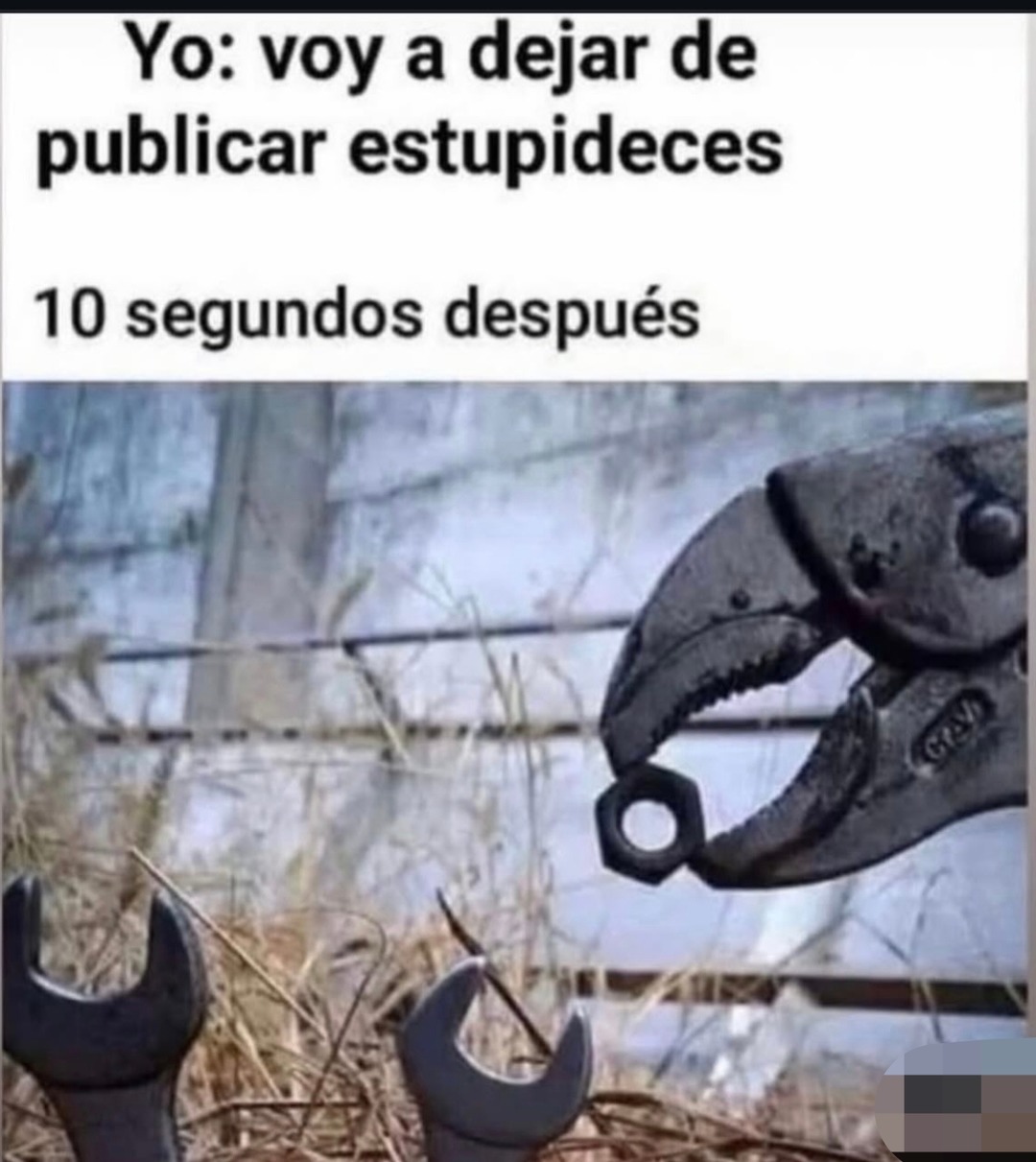 Yo: voy a dejar de publicar estupideces 10 segundos después