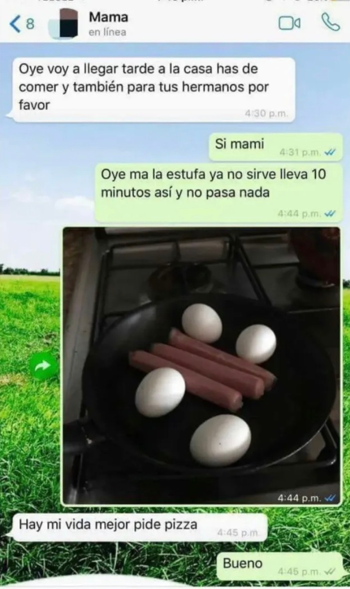 Oye voy a llegar tarde a la casa has de comer y también para tus hermanos por favor
Si mami
Oye ma la estufa ya no sirve lleva 10 minutos así y no pasa nada
[imagen de huevos y salchichas en la sartén]
Hay mi vida mejor pide pizza
Bueno