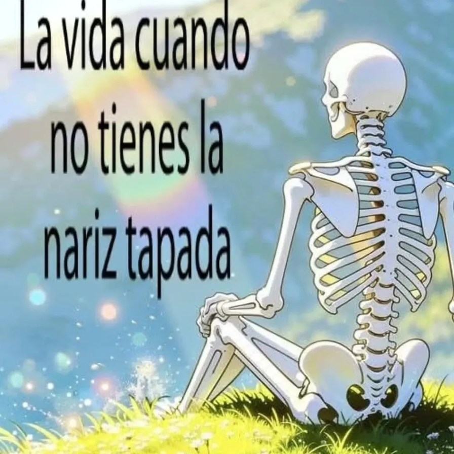 La vida cuando no tienes la nariz tapada
