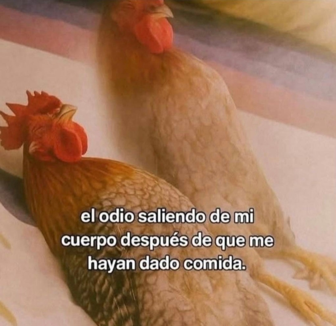 el odio saliendo de mi cuerpo después de que me hayan dado comida.