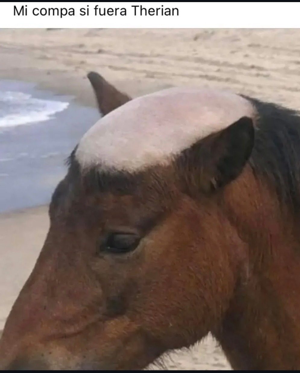Mi compa si fuera Therian