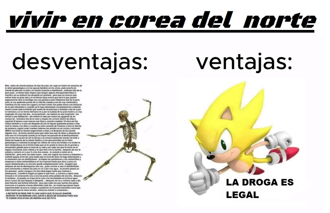 vivir en corea del norte

desventajas:

[texto grande a la izquierda en la imagen] ...

ventajas:

[imagen de Sonic haciendo un gesto de aprobación] LA DROGA ES LEGAL