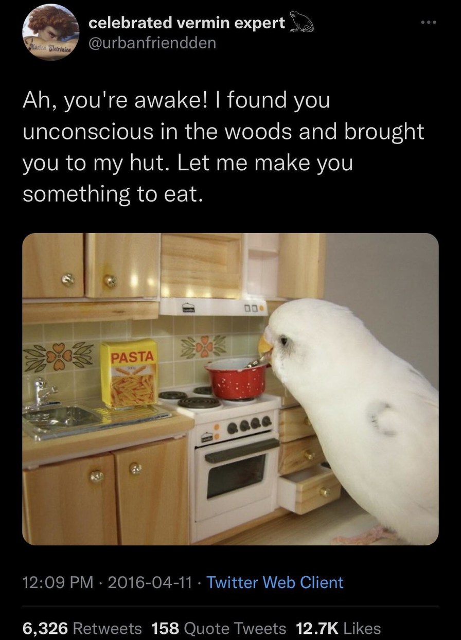 Ah, you're awake! I found you unconscious in the woods and brought you to my hut. Let me make you something to eat.