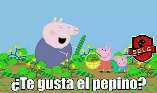 ¿Te gusta el pepino?