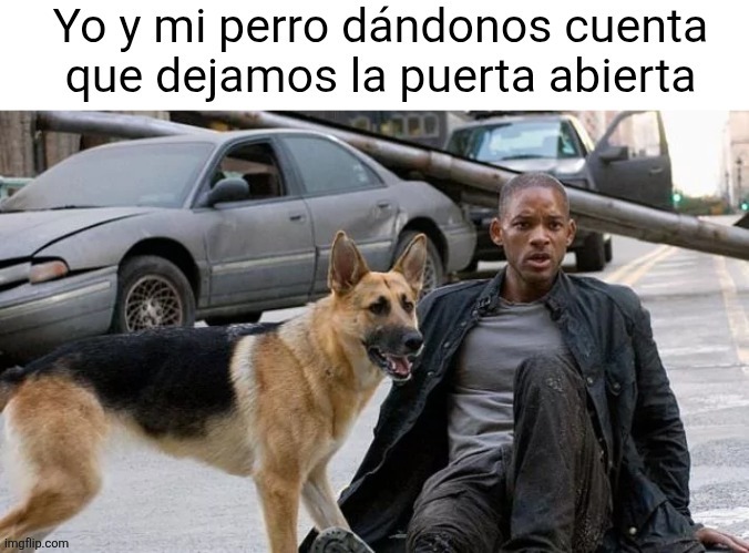 Yo y mi perro dándonos cuenta que dejamos la puerta abierta