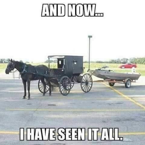 AND NOW... I HAVE SEEN IT ALL.