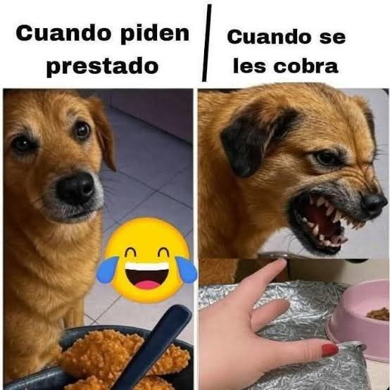 Cuando piden prestado
Cuando se les cobra