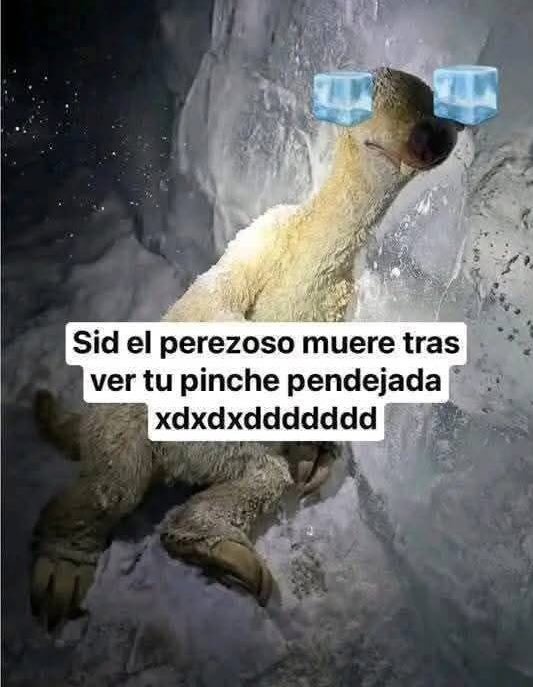 Sid el perezoso muere tras ver tu pinche pendejada xdxdddddd