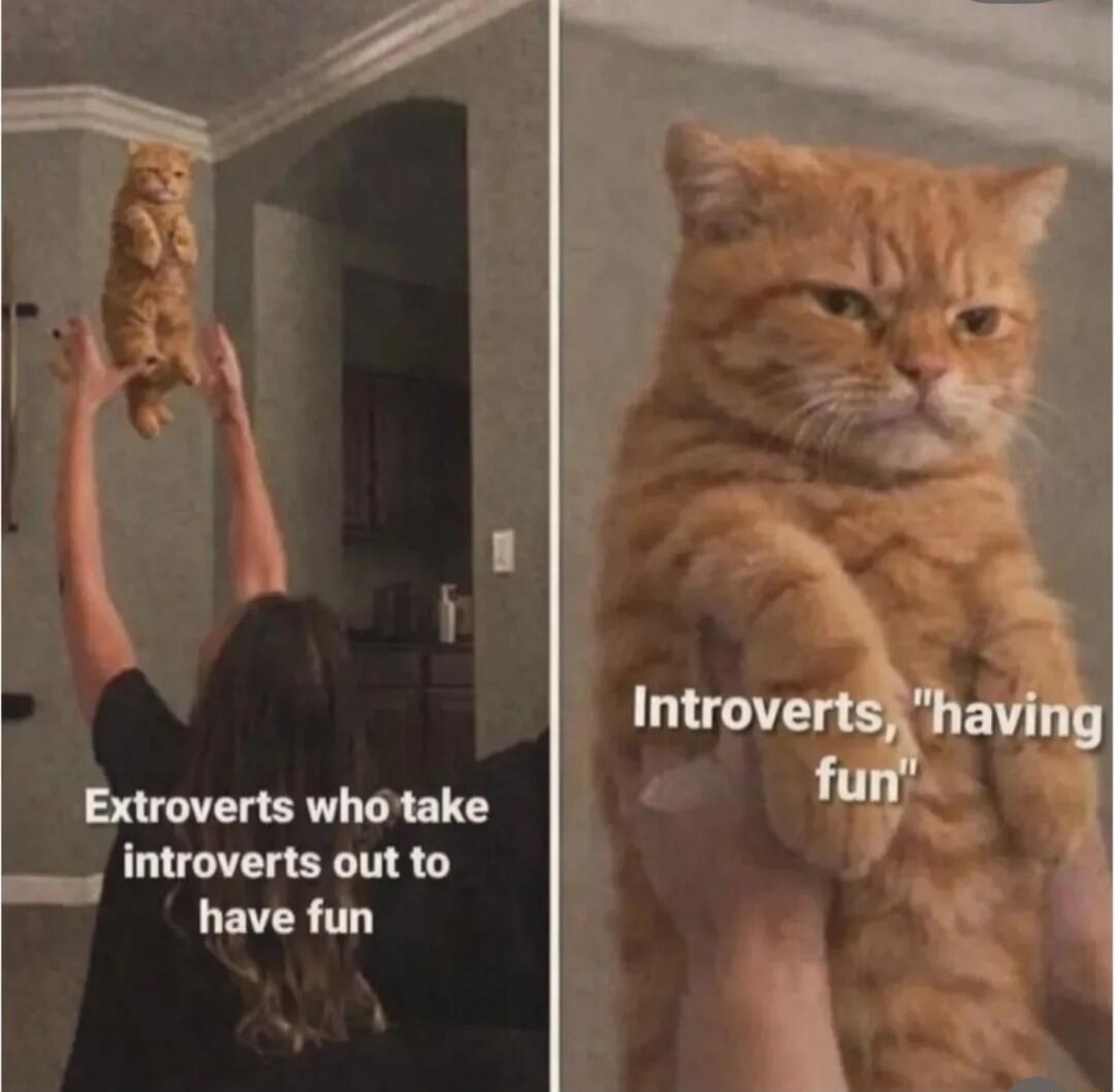 Extroverts who take introverts out to have fun
Introverts, 