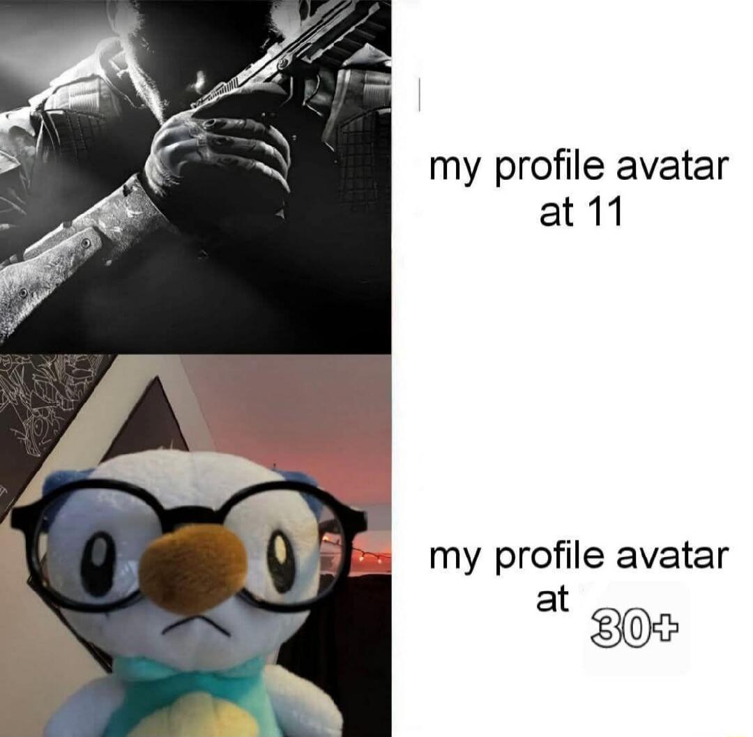 my profile avatar at 11 my profile avatar at 30+ Session ID: 17227.