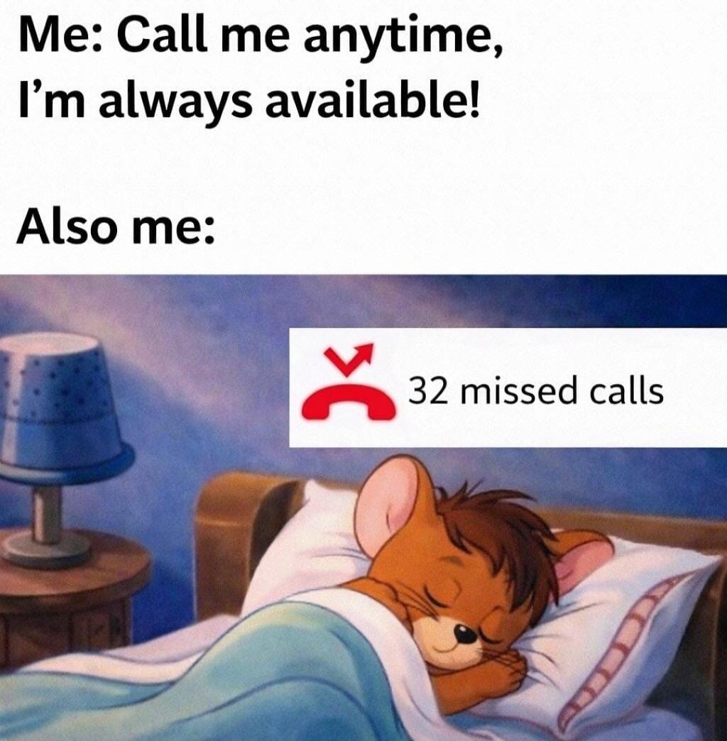 Me: Call me anytime, I’m always available!

Also me:

[Image of a sleeping cat with a notification: 32 missed calls]