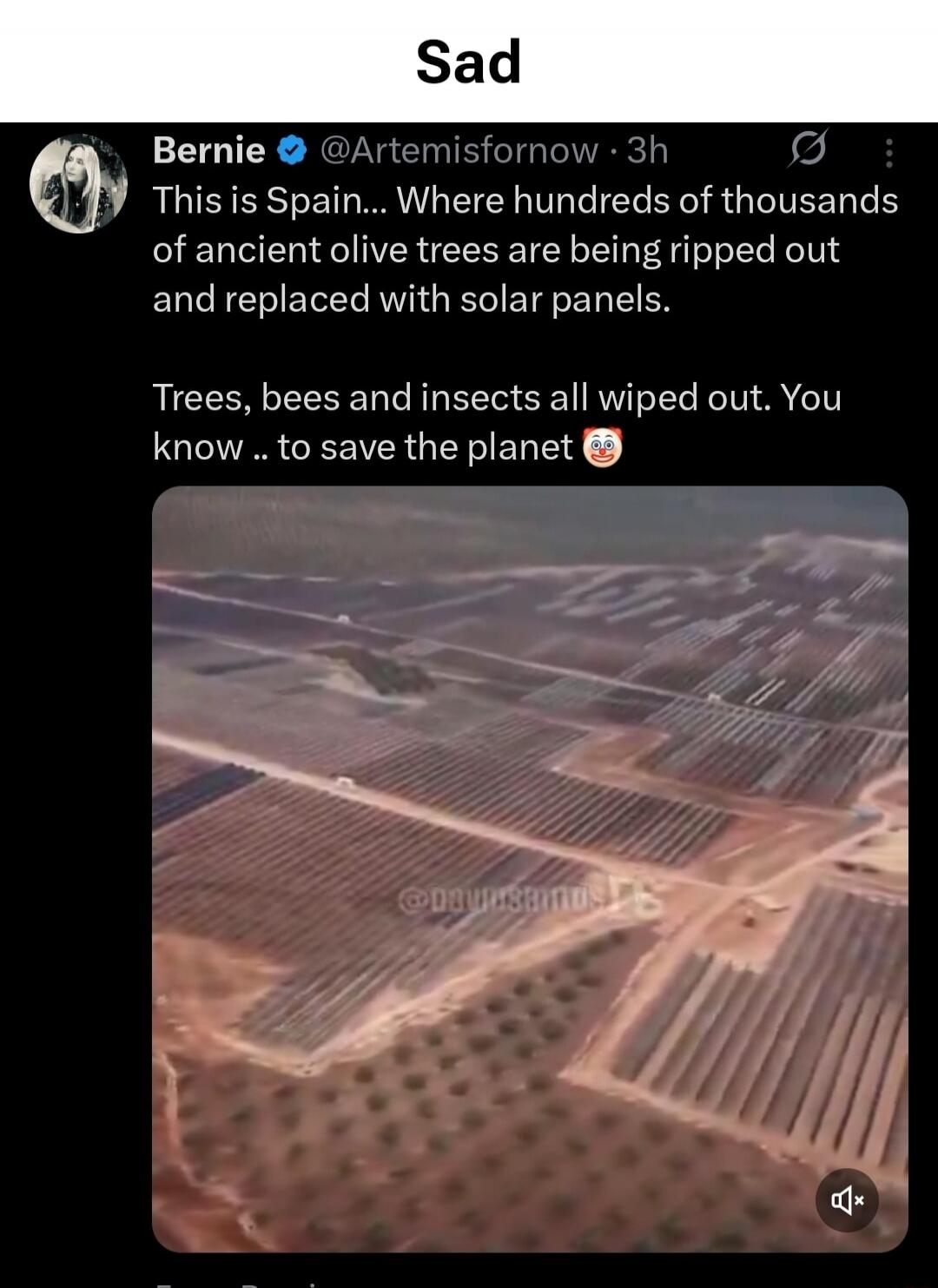 This is Spain... Where hundreds of thousands of ancient olive trees are being ripped out and replaced with solar panels. Trees, bees and insects all wiped out. You know .. to save the planet 🤡