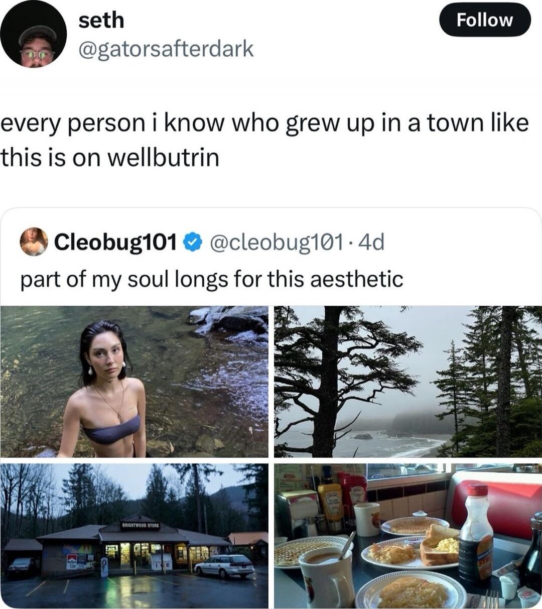 every person i know who grew up in a town like this is on wellbutrin part of my soul longs for this aesthetic