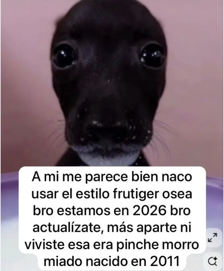 A mi me parece bien naco usar el estilo frutig er osea bro estamos en 2026 bro actualizate, más aparte ni viviste esa era pinche morro miado nacido en 2011
