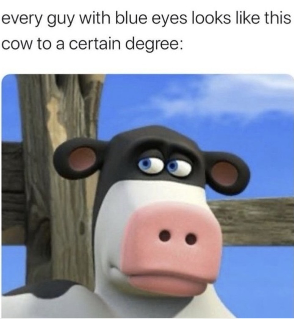 every guy with blue eyes looks like this cow to a certain degree: