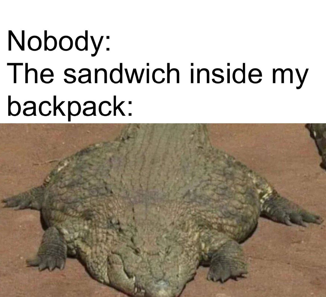 Nobody:
The sandwich inside my backpack: