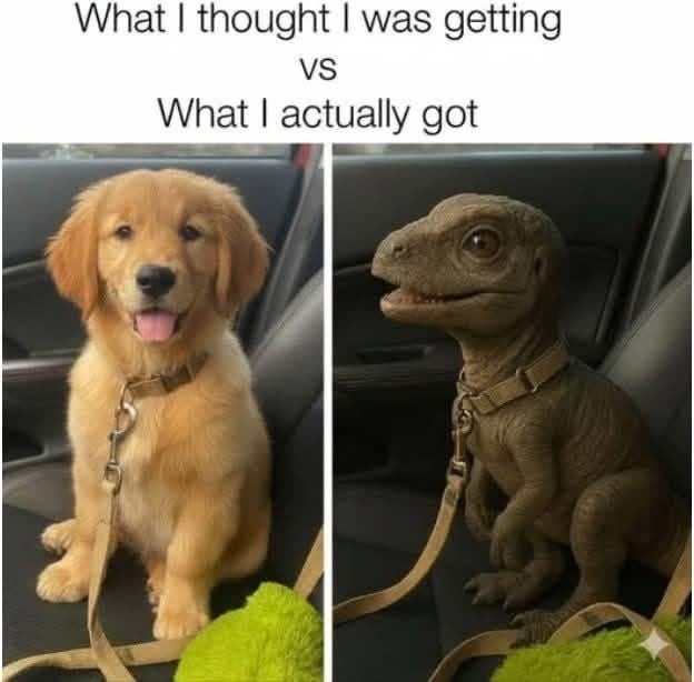 What I thought I was getting vs What I actually got