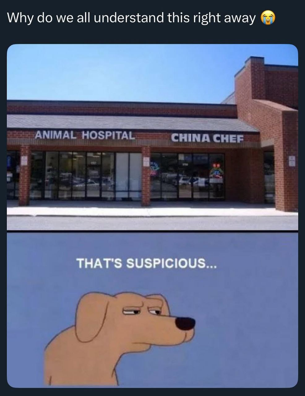 Why do we all understand this right away 😭