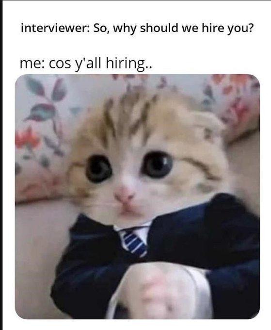 interviewer: So, why should we hire you?
me: cos y'all hiring..