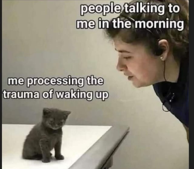 people talking to me in the morning
me processing the trauma of waking up
