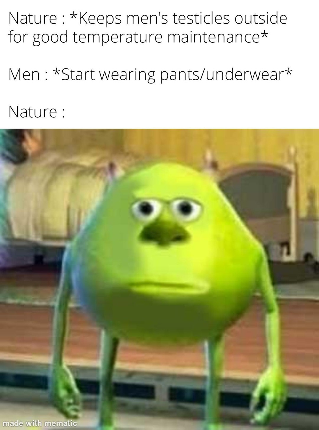 Nature: *Keeps men's testicles outside for good temperature maintenance* Men: *Start wearing pants/underwear* Nature:
