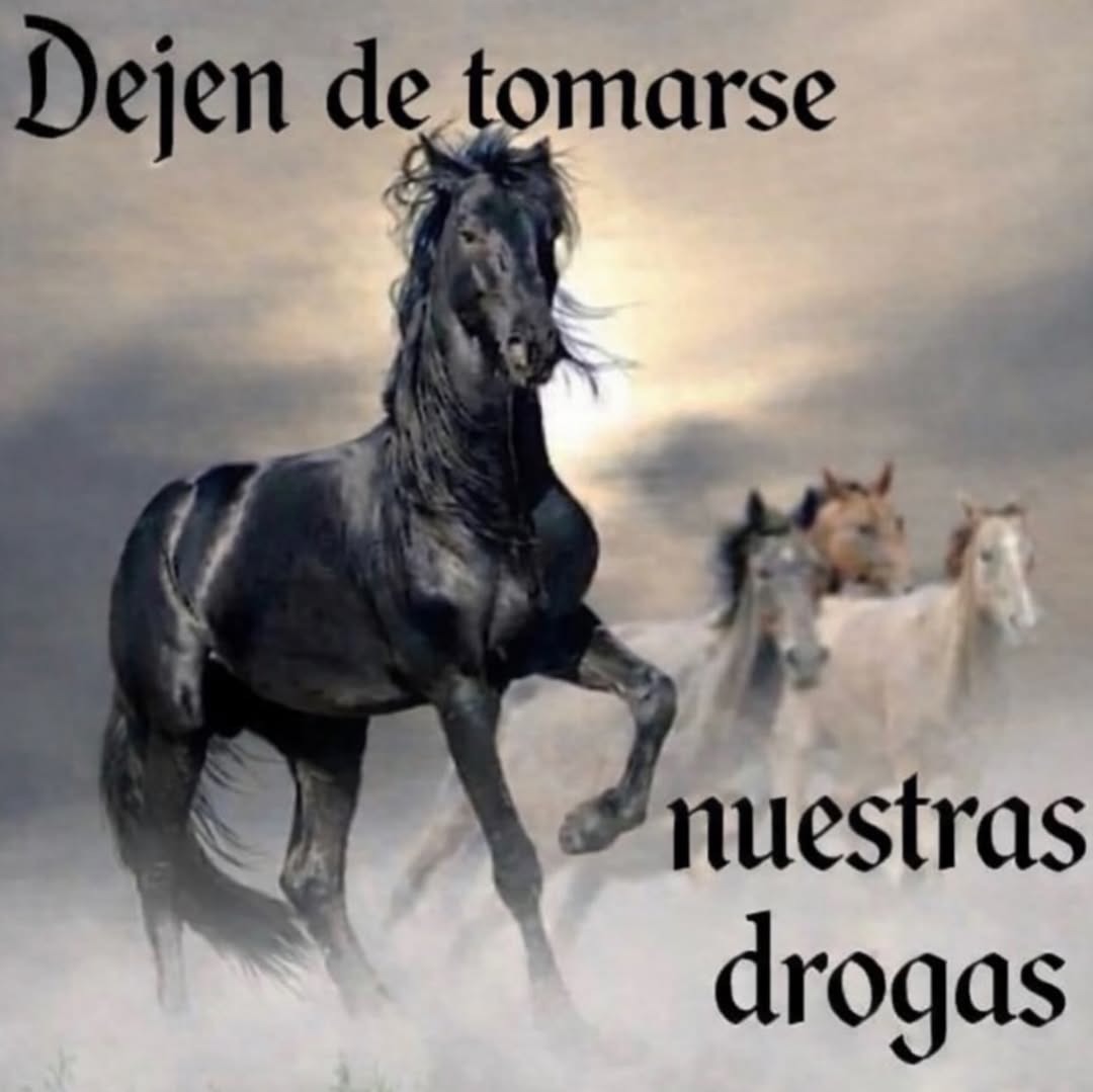 Dejen de tomarse nuestras drogas