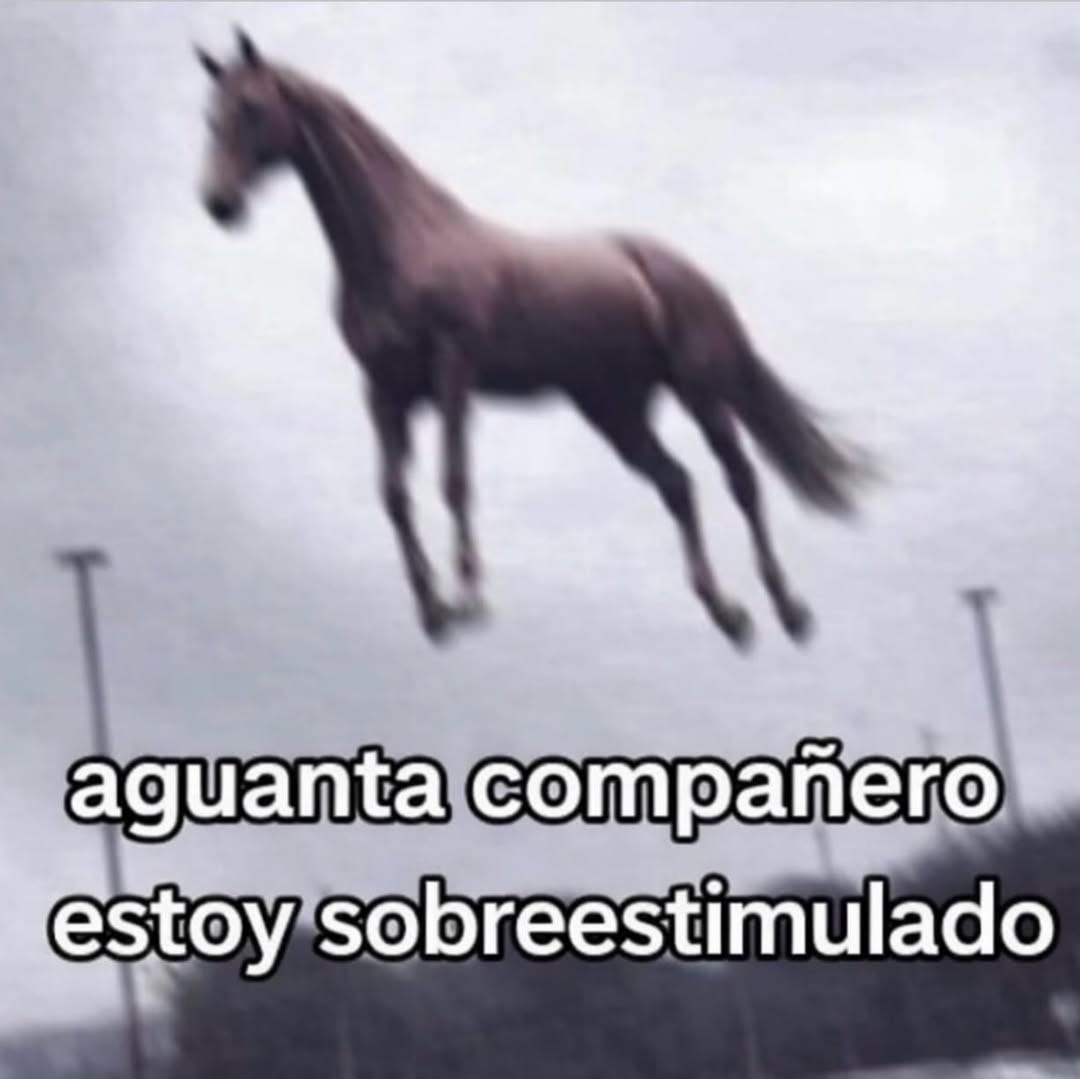aguanta compañero estoy sobreestimulado