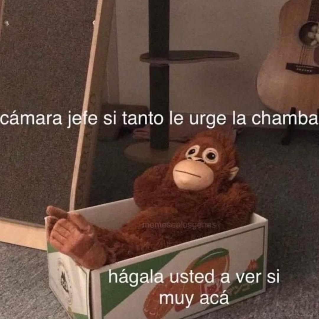 cámara jefe si tanto le urge la chamba hágala usted a ver si muy acá