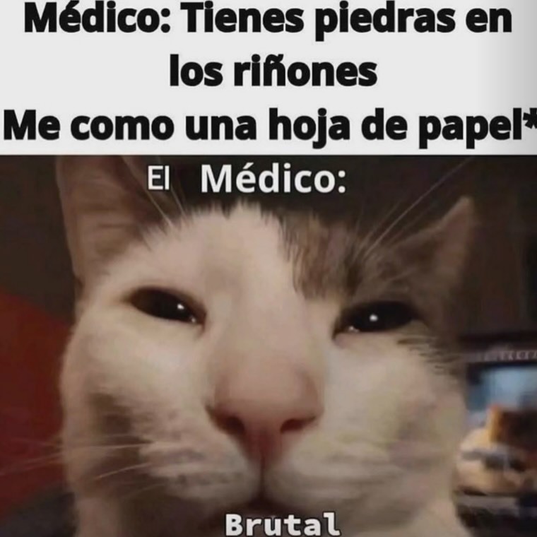 Médico: Tienes piedras en los riñones
Me como una hoja de papel*
El Médico:
