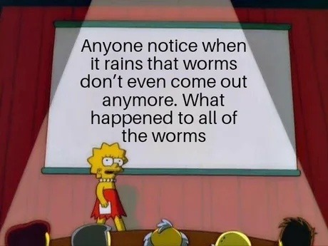 Anyone notice when it rains that worms don't even come out anymore. What happened to all of the worms