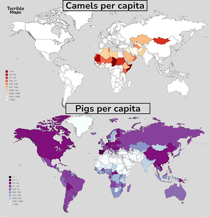 Mapa de camellos y cerdos per cápita.