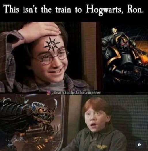 This isn't the train to Hogwarts, Ron.