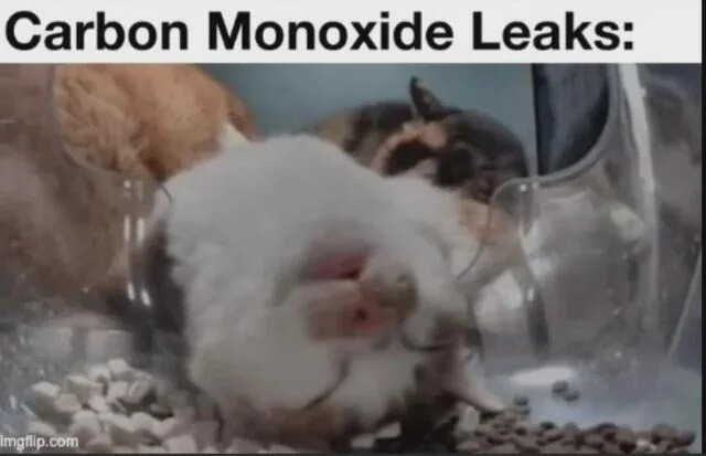 Carbon Monoxide Leaks: