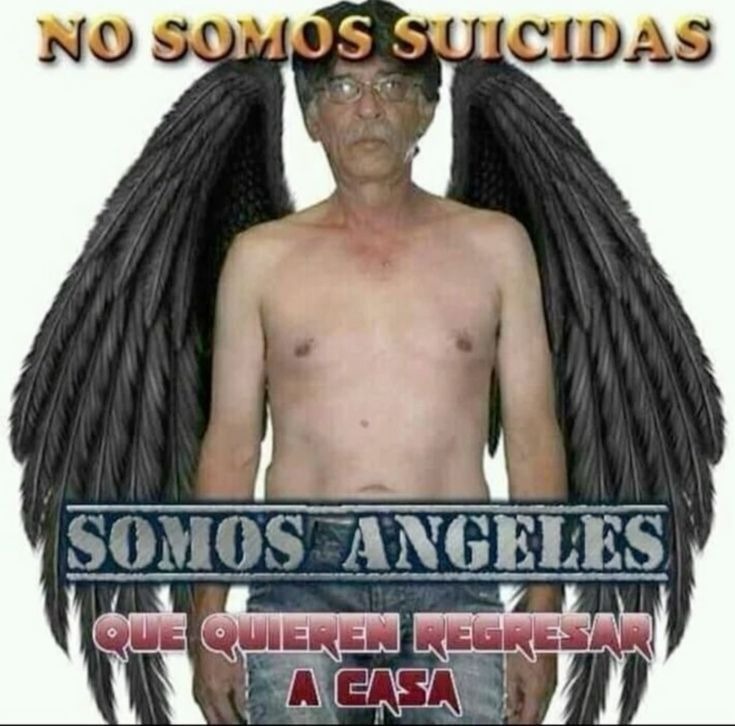 NO SOMOS SUICIDAS SOMOS ANGELES QUE QUIEREN REGRESAR A CASA