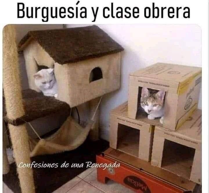 Burguesía y clase obrera. Confesiones de una Renegada.