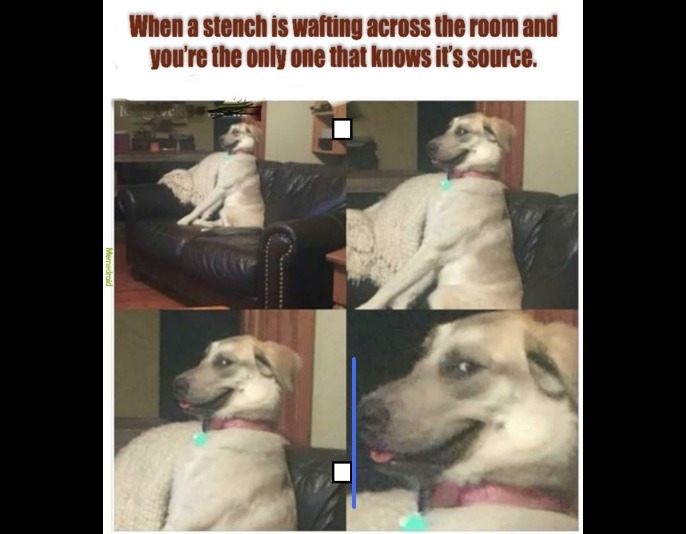 When a stench is wafting across the room and you're the only one that knows it's source.