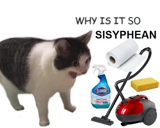 WHY IS IT SO SISYPHEAN