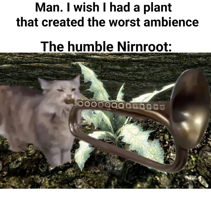 Man. I wish I had a plant that created the worst ambience
The humble Nrnroot:
