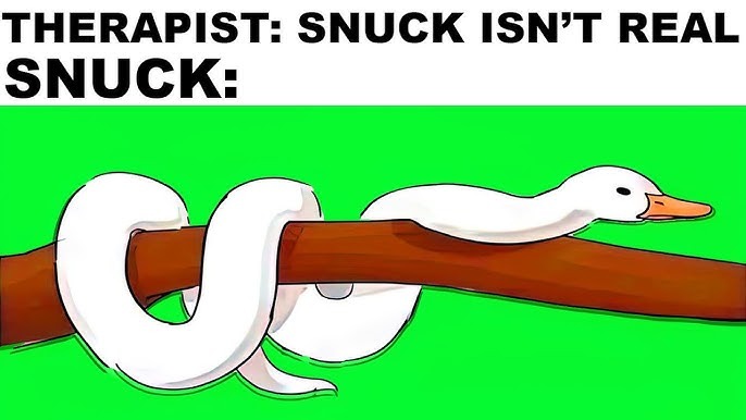 THERAPIST: SNUCK ISN'T REAL SNUCK: