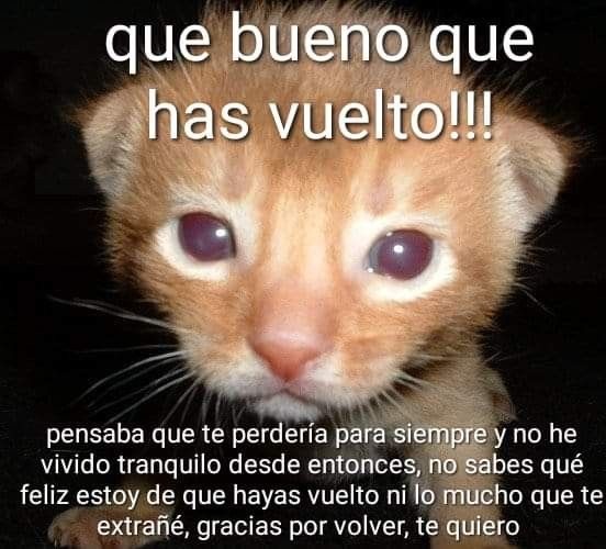 que bueno que has vuelto!!! pensaba que te perdería para siempre y no he vivido tranquilo desde entonces, no sabes qué feliz estoy de que hayas vuelto ni lo mucho que te extrañé, gracias por volver, te quiero