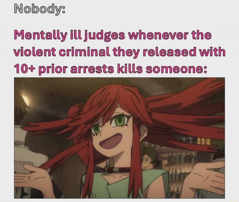 Nobody: Mentally ill judges whenever the violent criminal they released with 10+ prior arrests kills someone: