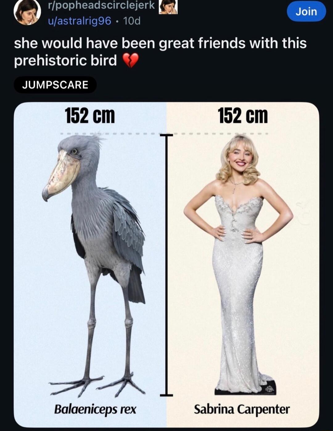 She would have been great friends with this prehistoric bird