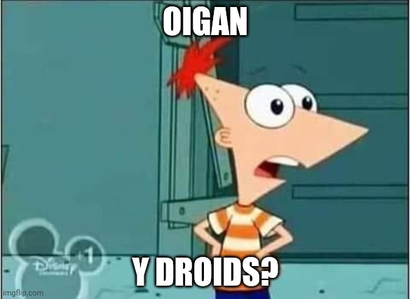 OIGAN Y DROIDSP