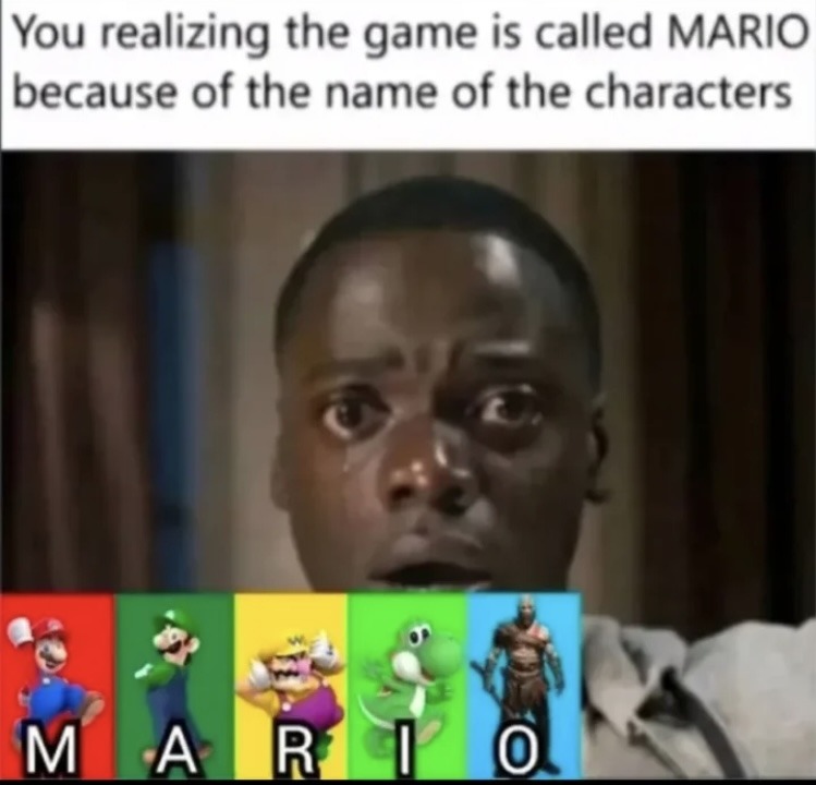 You realizing the game is called MARIO because of the name of the characters